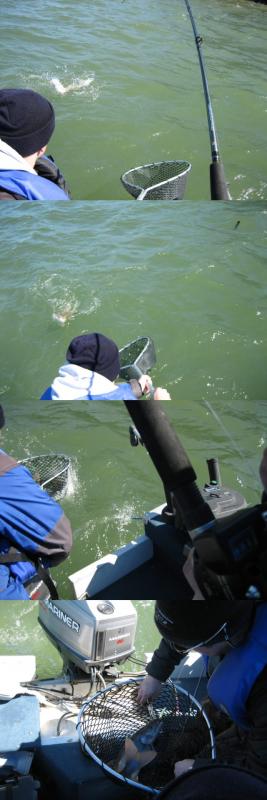Premier poisson de l'année 2011 sur le Lac Champlain